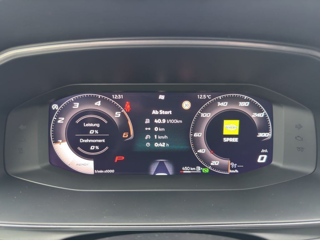 Fahrzeugabbildung CUPRA Formentor 2.0 TDI DSG