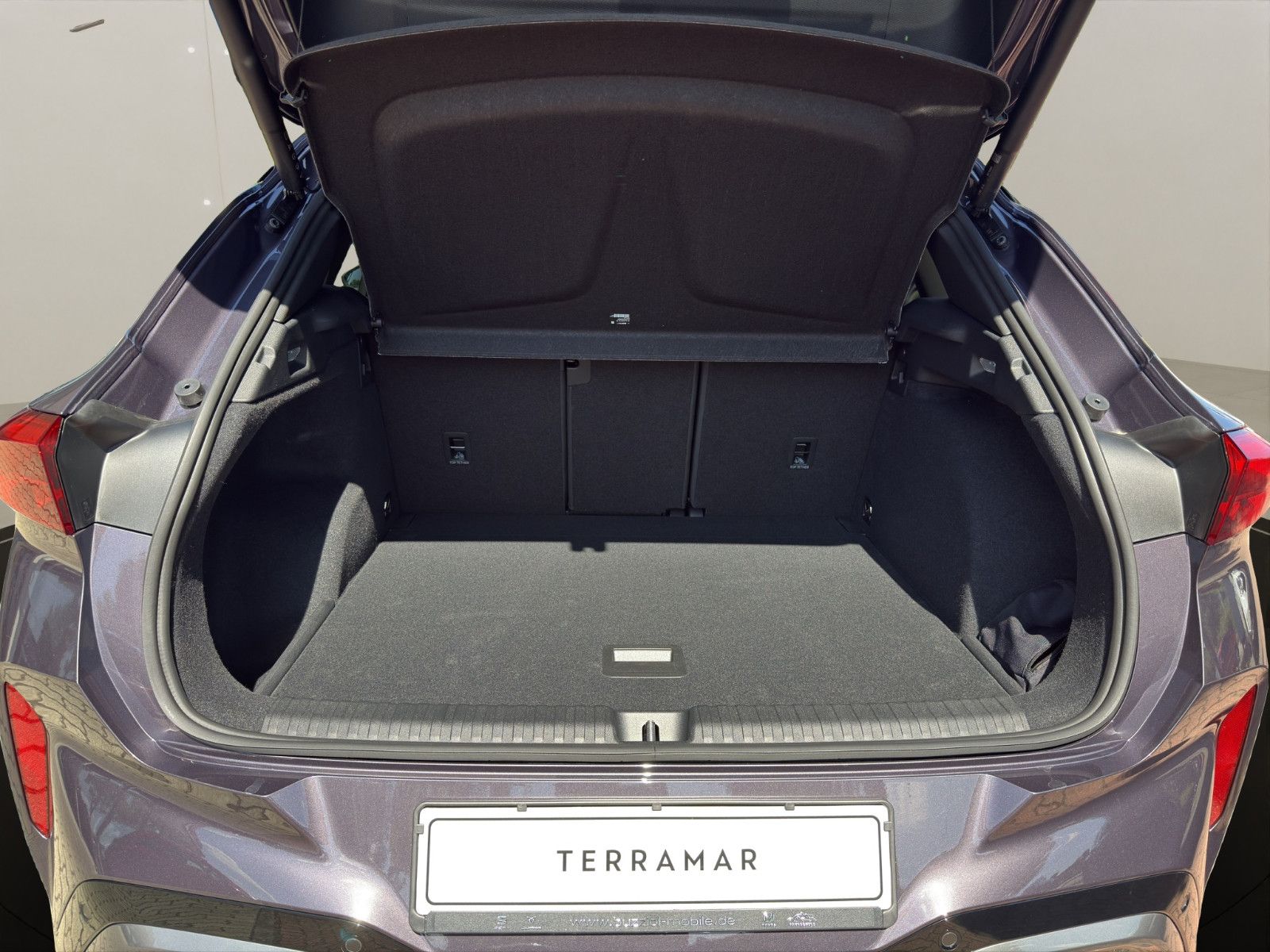 Fahrzeugabbildung CUPRA Terramar 2.0 TSI 195 kW 4Drive VZ
