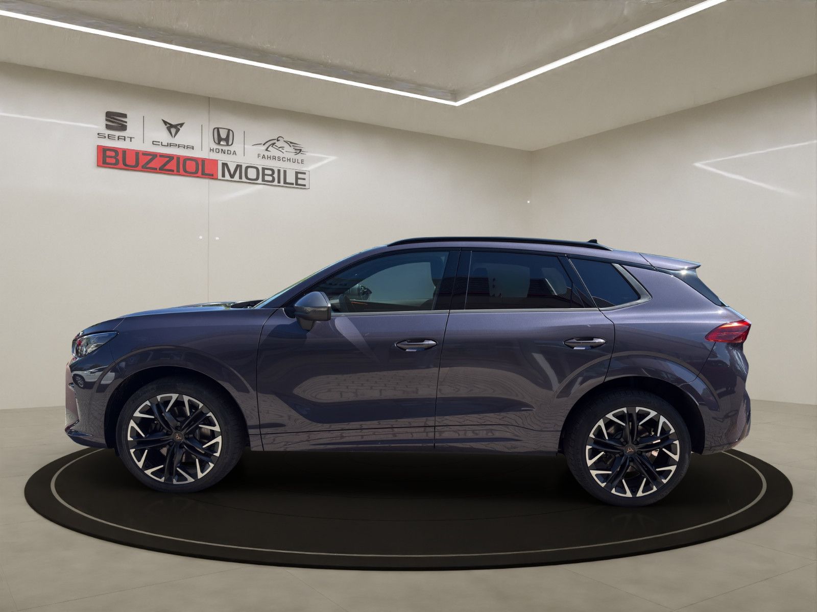 Fahrzeugabbildung CUPRA Terramar 2.0 TSI 195 kW 4Drive VZ