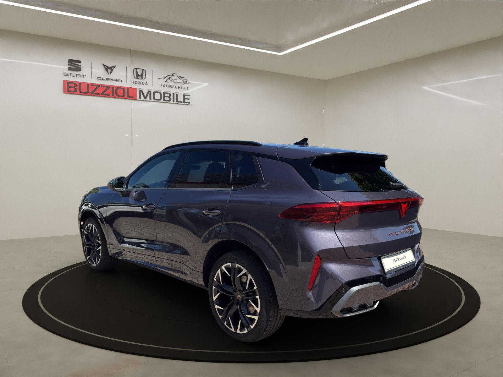 Fahrzeugabbildung CUPRA Terramar 2.0 TSI 195 kW 4Drive VZ