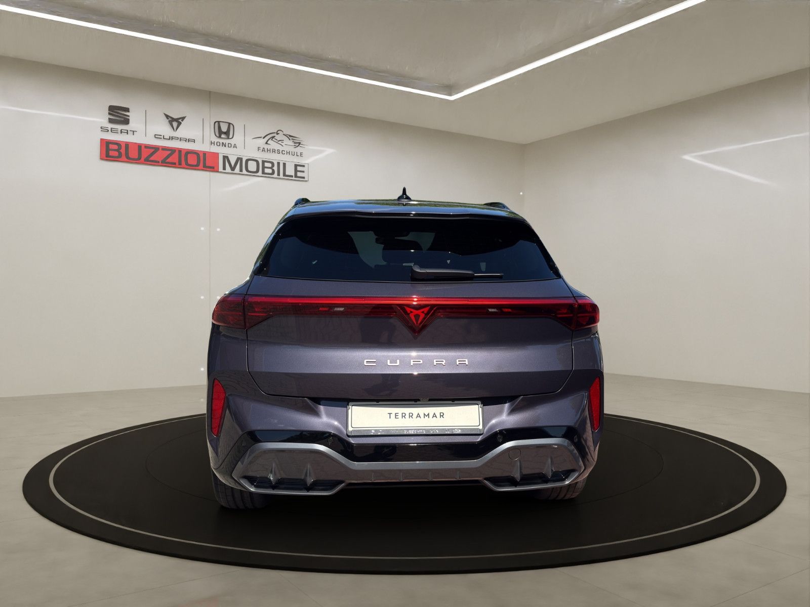 Fahrzeugabbildung CUPRA Terramar 2.0 TSI 195 kW 4Drive VZ