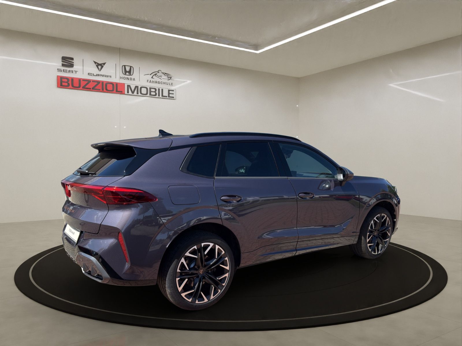 Fahrzeugabbildung CUPRA Terramar 2.0 TSI 195 kW 4Drive VZ