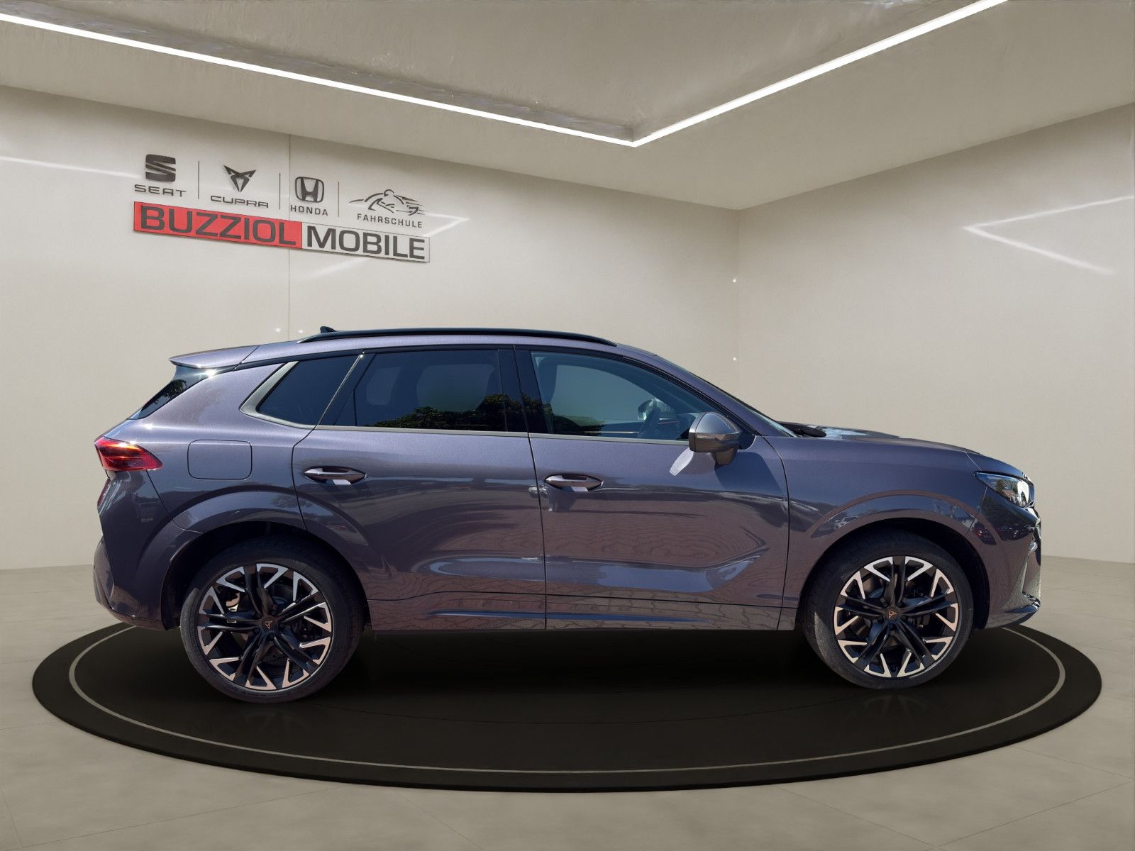 Fahrzeugabbildung CUPRA Terramar 2.0 TSI 195 kW 4Drive VZ