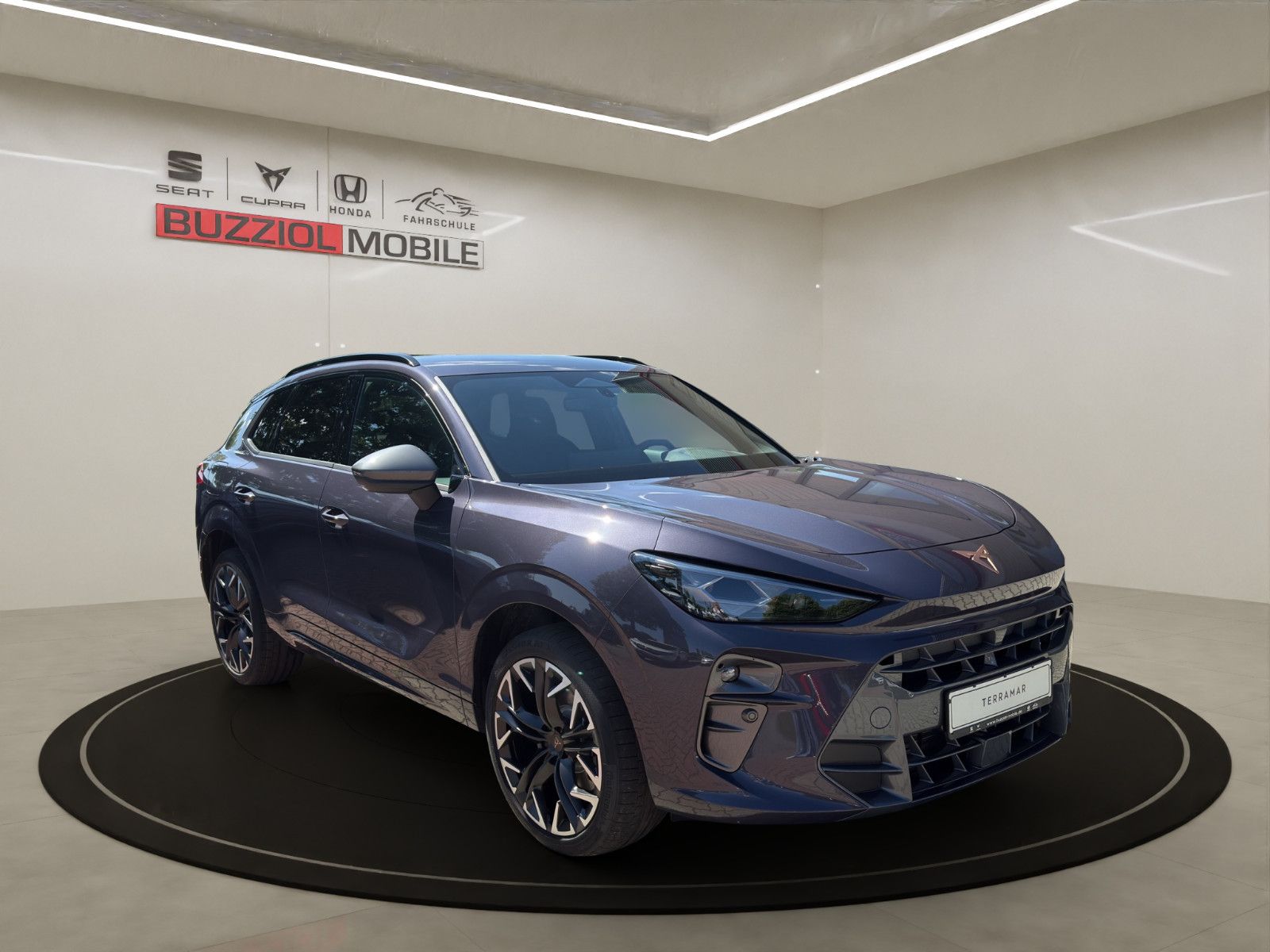 Fahrzeugabbildung CUPRA Terramar 2.0 TSI 195 kW 4Drive VZ
