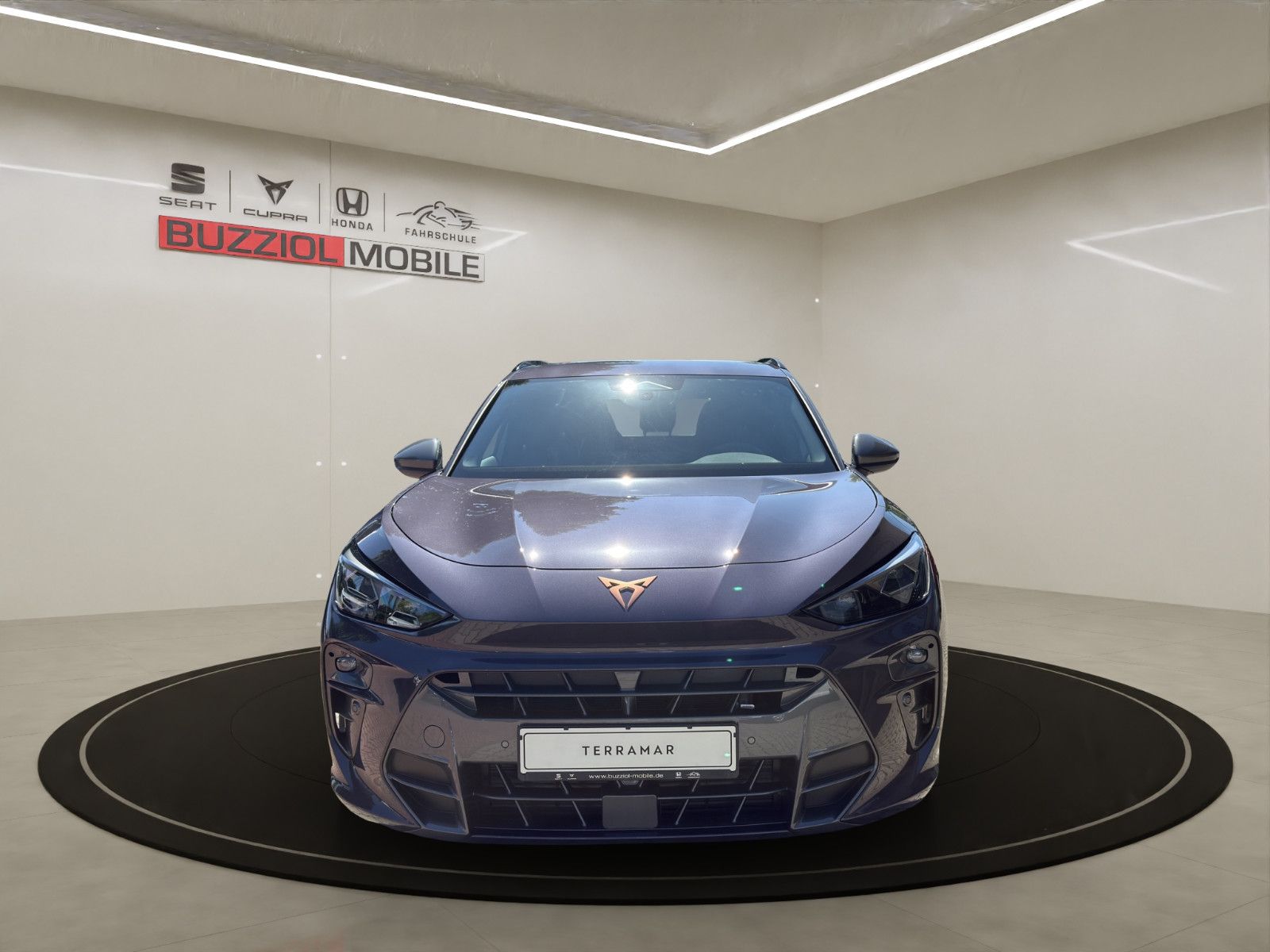 Fahrzeugabbildung CUPRA Terramar 2.0 TSI 195 kW 4Drive VZ